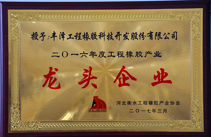 丰泽股份荣获龙头企业与科技创新示范企业牌匾